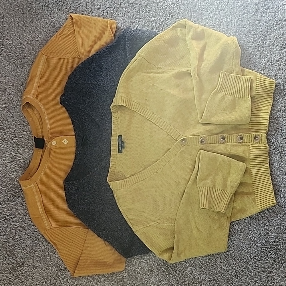 Wild Fable Crop Bundle